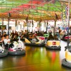 FIESTAS 2026: FERIA, MUSICAL Y TARDEO PICACEÑO