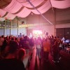 FIESTAS 2026: FERIA, MUSICAL Y TARDEO PICACEÑO