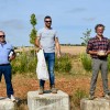 FIESTAS 2026: CONCURSOS DE CORTE Y TORTILLAS