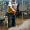FIESTAS 2026: COMIDA POPULAR
