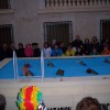CARNAVAL 2010