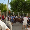 ENCIERROS INFANTILES - FIESTA ESPUMA