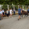 ENCIERROS INFANTILES - FIESTA ESPUMA