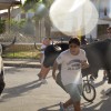 ENCIERROS INFANTILES - FIESTA ESPUMA
