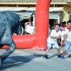 ENCIERROS INFANTILES - FIESTA ESPUMA
