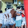 ENCIERROS INFANTILES - FIESTA ESPUMA