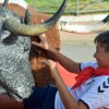 ENCIERROS INFANTILES - FIESTA ESPUMA