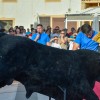 ENCIERROS INFANTILES - FIESTA ESPUMA