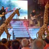 FIESTAS 2023: MUSICAL EL DESTINO