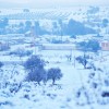 GALERÍA FOTOGRÁFICA: El Picazo en Invierno
