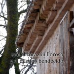 FELICITACIÓN AÑO 2021