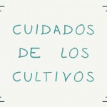 CUIDADOS DE LOS CULTIVOS