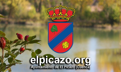 (c) Elpicazo.org